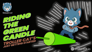 Top New Meme Coins to Invest in This Month: Troller Cat vs SHIB vs Notcoin