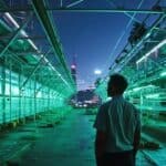 Thopen Eyes Bitcoin Mining Using Excess Solar Power