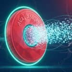 avalanche-440b-progmat-corda5