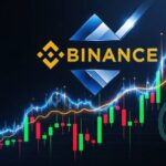 Lido 2025 Revenue Falls 23% to $40.5M: Full Financial Breakdown